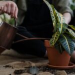 Mental Health And Climate Change